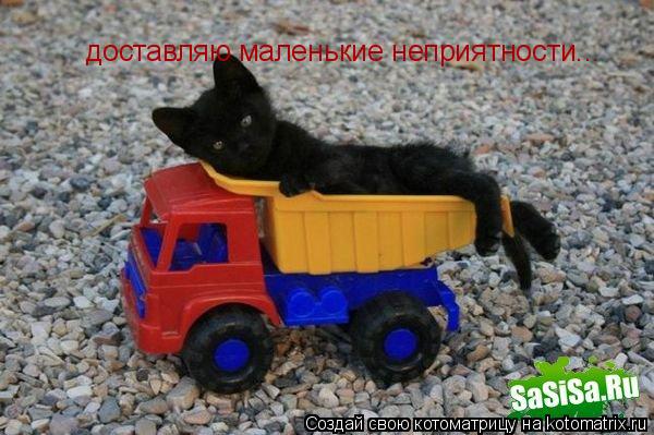 Котоматрица: доставляю маленькие неприятности...