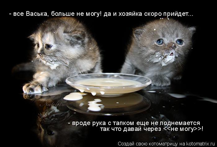 Котоматрица: - все Васька, больше не могу! да и хозяйка скоро прийдет... - вроде рука с тапком еще не поднемается так что давай через <<не могу>>!
