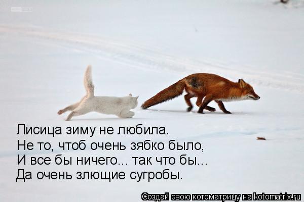 Лисица зиму не любила. Не то, чтоб очень зябко было, И все бы ничего... так что бы... Да очень злющие... Котоматрица: Лисица зиму не любила. Не то, чтоб очень зябко было, И все бы ничего... так что бы... Да очень злющие сугробы.