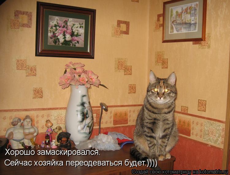 Котоматрица: Хорошо замаскировался. Сейчас хозяйка переодеваться будет.))))