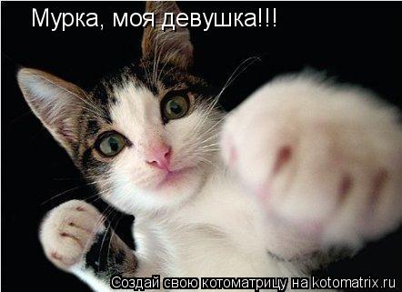 Котоматрица: Мурка, моя девушка!!!