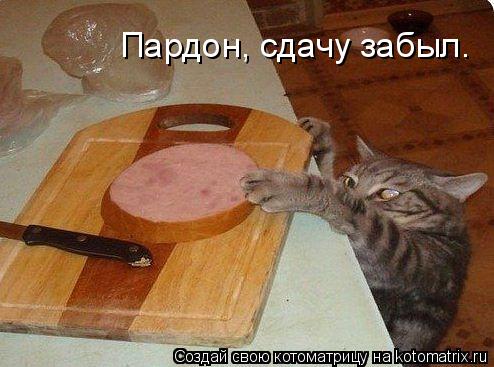 Пардон, сдачу забыл.... Котоматрица: Пардон, сдачу забыл.