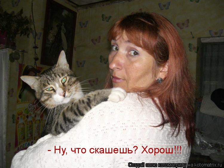 Котоматрица: - Ну, что скашешь? Хорош!!!