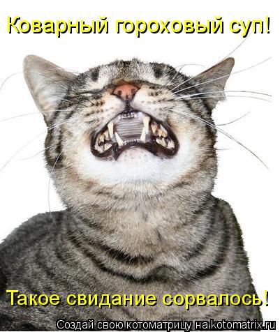 Котоматрица: Коварный гороховый суп! Такое свидание сорвалось!