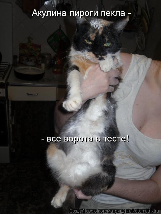 Котоматрица: Акулина пироги пекла -  - все ворота в тесте!