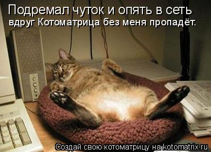 Котоматрица: Подремал чуток и опять в сеть вдруг Котоматрица без меня пропадёт.