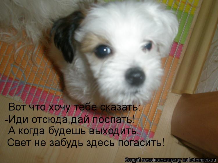 Котоматрица: А когда будешь выходить, Свет не забудь здесь погасить! Вот что хочу тебе сказать: -Иди отсюда,дай поспать!