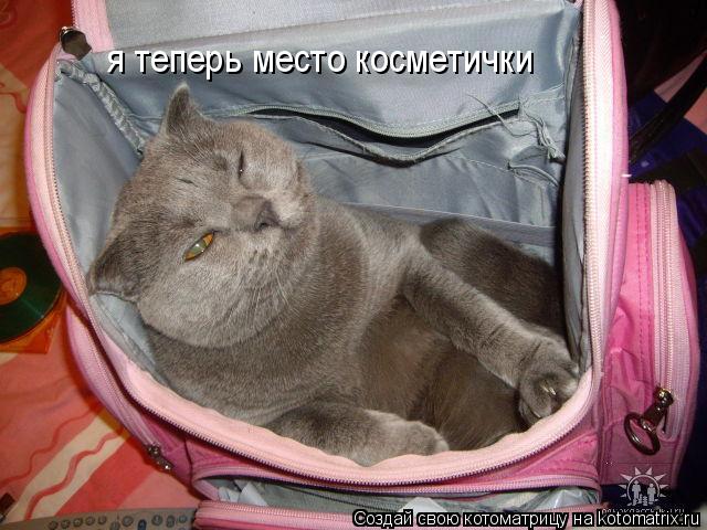 Котоматрица: я теперь место косметички