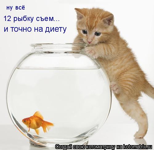 Котоматрица: ну всё 12 рыбку съем... и точно на диету