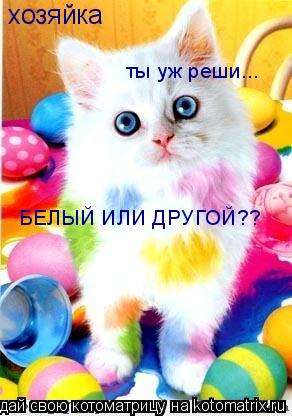 Котоматрица: хозяйка БЕЛЫЙ ИЛИ ДРУГОЙ?? ты уж реши...