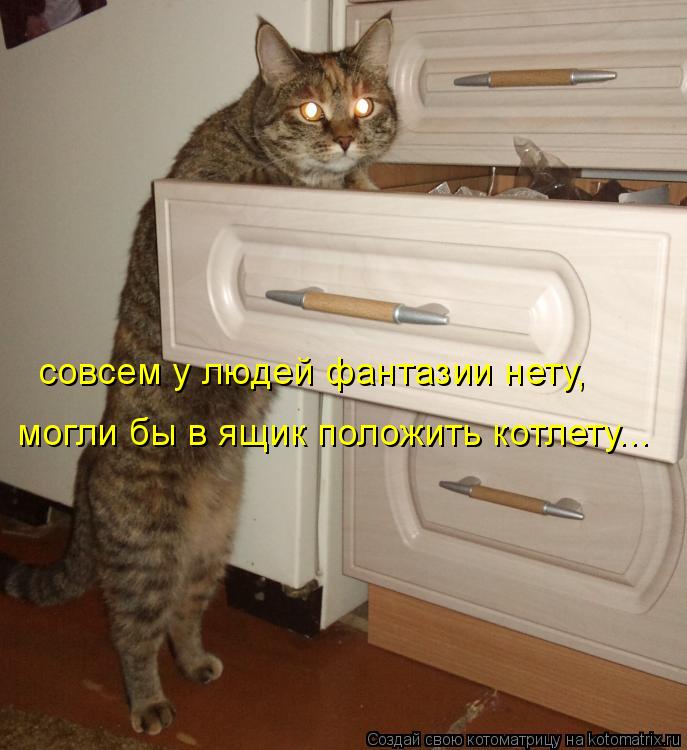 Котоматрица: совсем у людей фантазии нету, могли бы в ящик положить котлету...