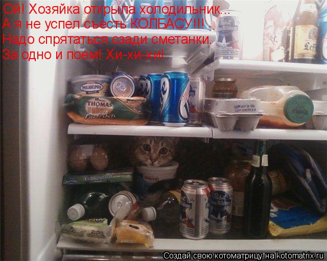 Котоматрица: Ой! Хозяйка открыла холодильник... А я не успел съесть КОЛБАСУ!!! Надо спрятаться сзади сметанки. За одно и поем! Хи-хи-хи!