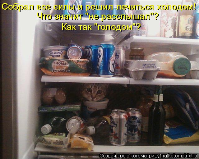 Котоматрица: Собрал все силы и решил лечиться холодом! Что значит "не расслышал"? Как так "голодом"?
