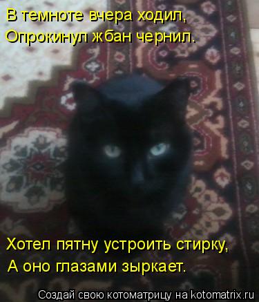 Котоматрица: В темноте вчера ходил, Опрокинул жбан чернил. Хотел пятну устроить стирку, А оно глазами зыркает.