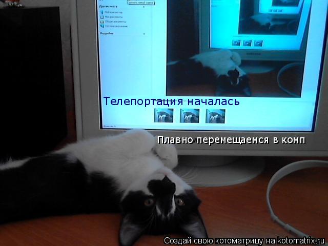 Котоматрица: Телепортация началась Плавно перемещаемся в комп