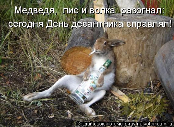 Котоматрица: сегодня День десантника справлял! Медведя,  лис и волка  разогнал: