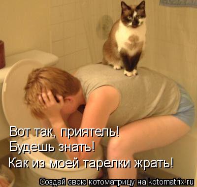 Котоматрица: Вот так, приятель! Будешь знать! Как из моей тарелки жрать!