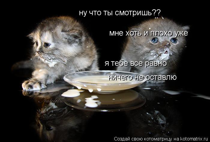 Котоматрица: ну что ты смотришь?? мне хоть и плохо уже я тебе все равно  ничего не оставлю