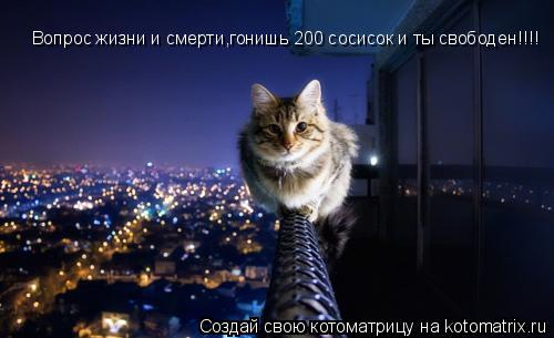 Котоматрица: Вопрос жизни и смерти,гонишь 200 сосисок и ты свободен!!!!