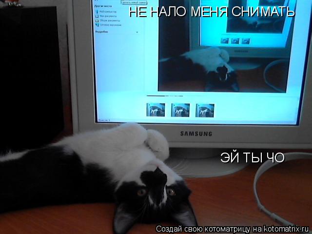 Котоматрица: ЭЙ ТЫ ЧО  НЕ НАЛО МЕНЯ СНИМАТЬ НЕ НАЛО МЕНЯ СНИМАТЬ