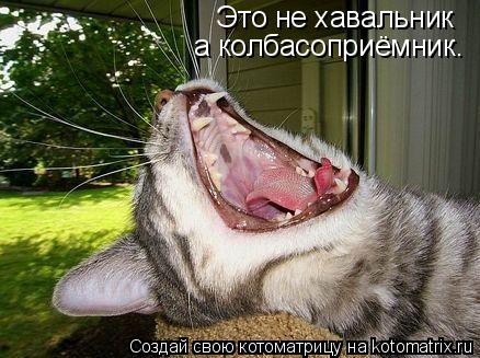 Котоматрица: Это не хавальник а колбасоприёмник.