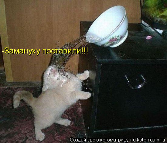 Котоматрица: -Замануху поставили!!!