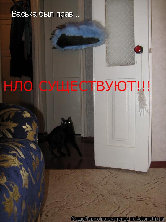 Котоматрица: Васька был прав... НЛО СУЩЕСТВУЮТ!!!