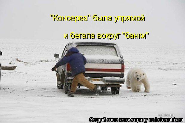 Котоматрица: "Консерва" была упрямой и бегала вокруг "банки"