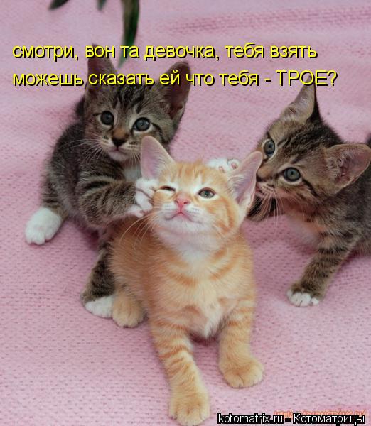Котоматрица: смотри, вон та девочка, тебя взять можешь сказать ей что тебя - ТРОЕ?
