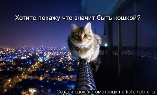 Котоматрица: Хотите покажу что значит быть кошкой?
