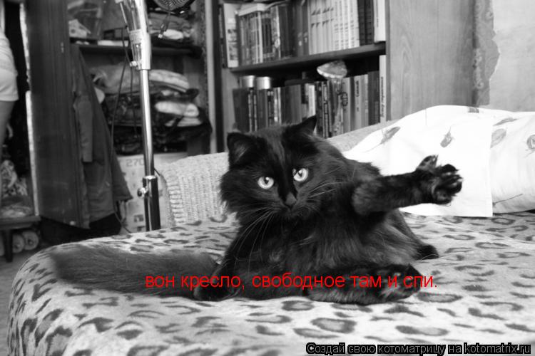 Котоматрица: вон кресло, свободное там и спи.