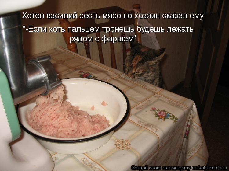 Котоматрица: Хотел василий сесть мясо но хозяин сказал ему  "-Если хоть пальцем тронешь будешь лежать  рядом с фаршем"