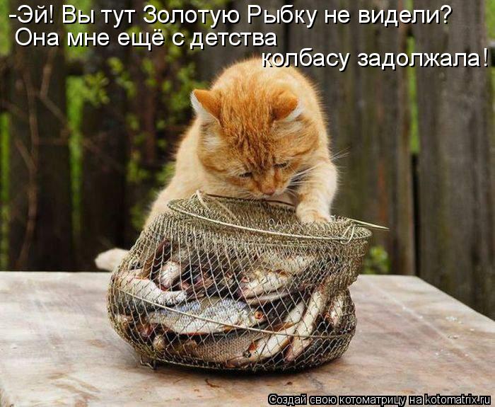 Котоматрица: -Эй! Вы тут Золотую Рыбку не видели? Она мне ещё с детства колбасу задолжала!