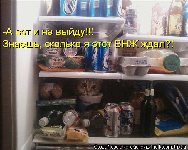Котоматрица: -А вот и не выйду!!! Знаешь, сколько я этот ВНЖ ждал?!