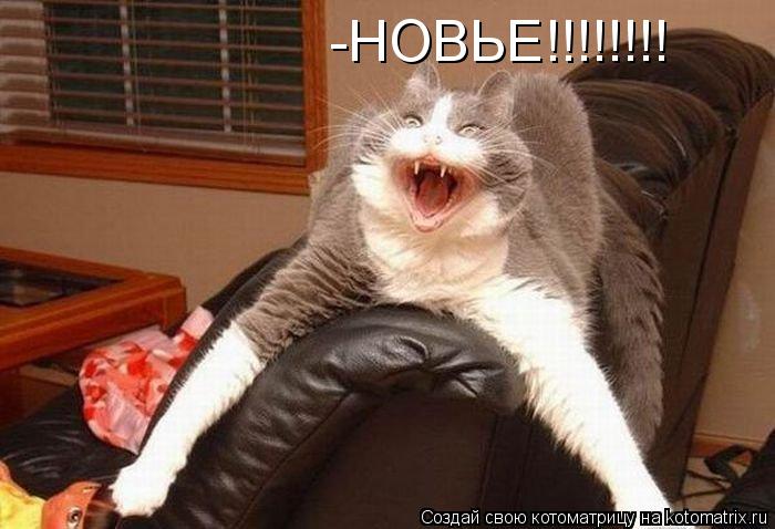 Котоматрица: -НОВЬЕ!!!!!!!!