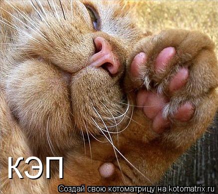 Котоматрица: КЭП