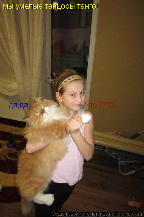 Котоматрица: мы умелые танцоры танго! Что???? да,да