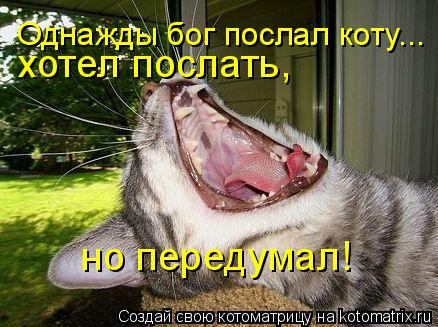 Котоматрица: Однажды бог послал коту... хотел послать,  но передумал!