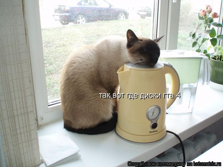 Котоматрица: так вот где диски гта 4