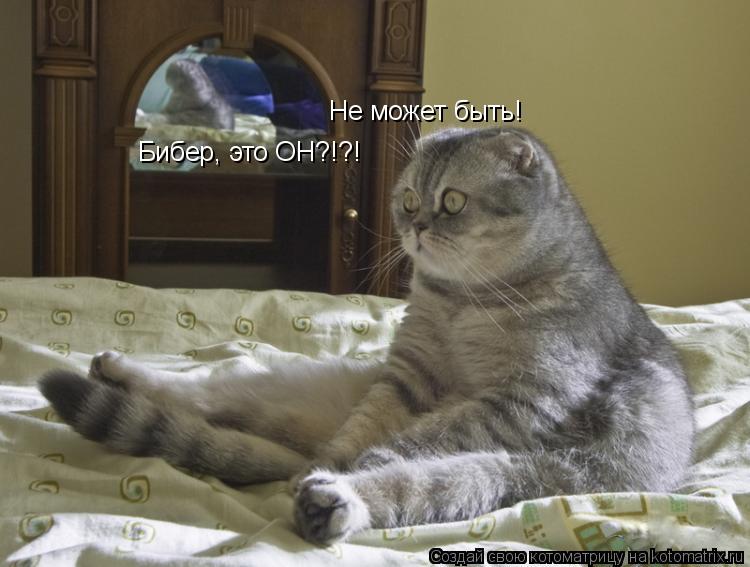 Котоматрица: Не может быть! Бибер, это ОН?!?!