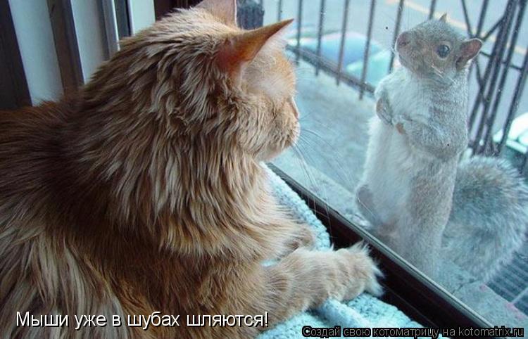 Котоматрица: Мыши уже в шубах шляются!