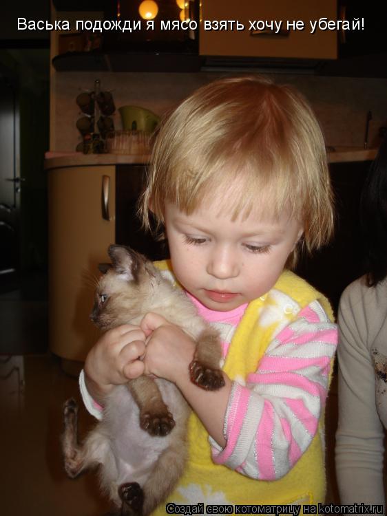 Котоматрица: Васька подожди я мясо взять хочу не убегай!