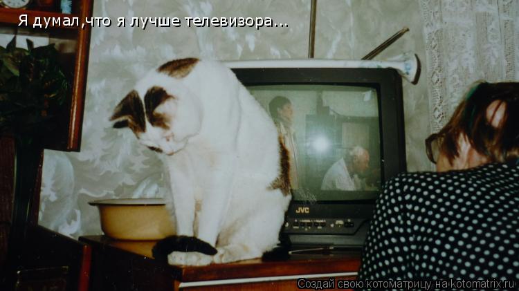 Котоматрица: Я думал,что я лучше телевизора...