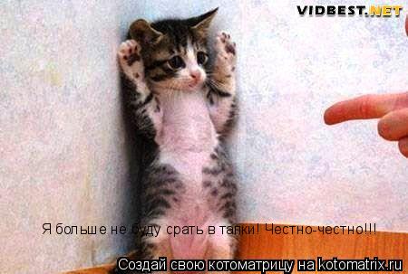 Котоматрица: Я больше не буду срать в тапки! Честно-честно!!!