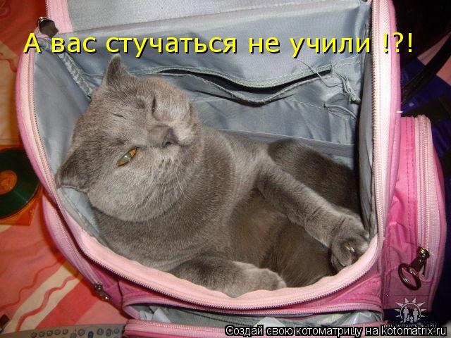 Котоматрица: А вас стучаться не учили !?!