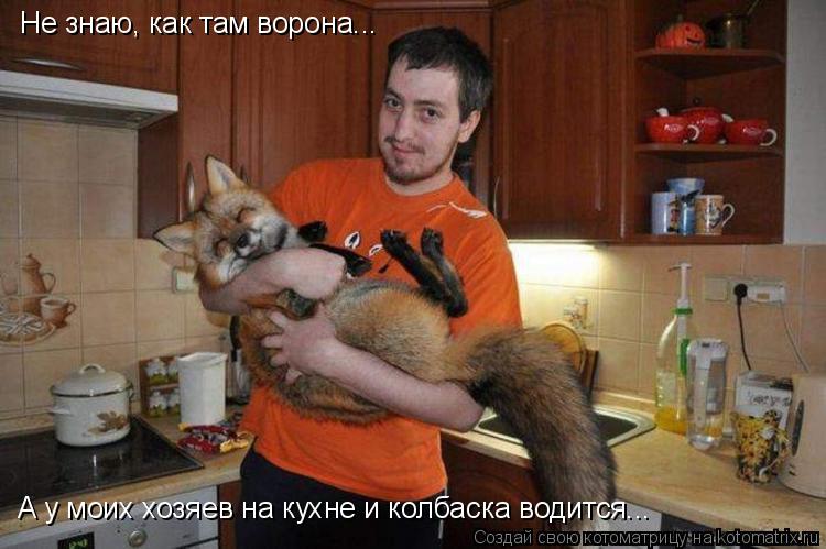 Котоматрица: Не знаю, как там ворона... А у моих хозяев на кухне и колбаска водится...
