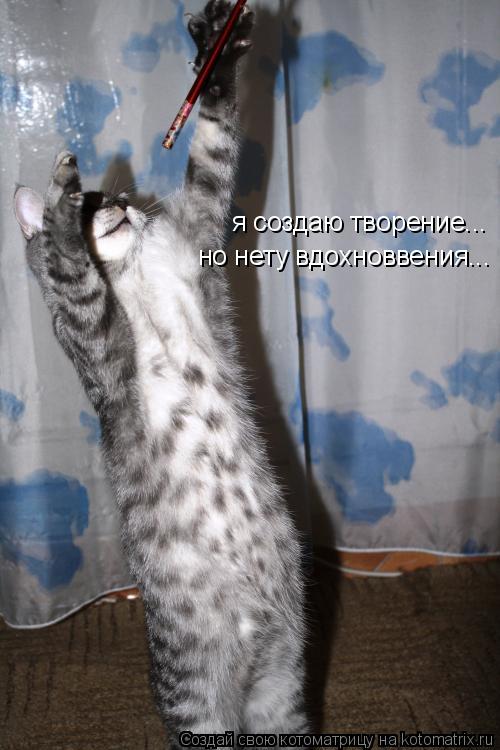 Котоматрица: я создаю творение... но нету вдохноввения...