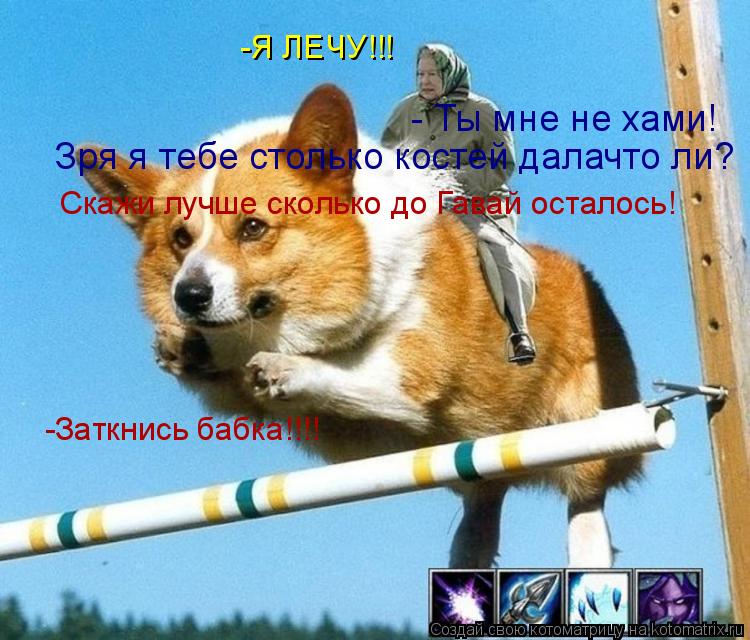 Котоматрица: -Я ЛЕЧУ!!! -Заткнись бабка!!!! - Ты мне не хами! Зря я тебе столько костей далачто ли? Скажи лучше сколько до Гавай осталось!