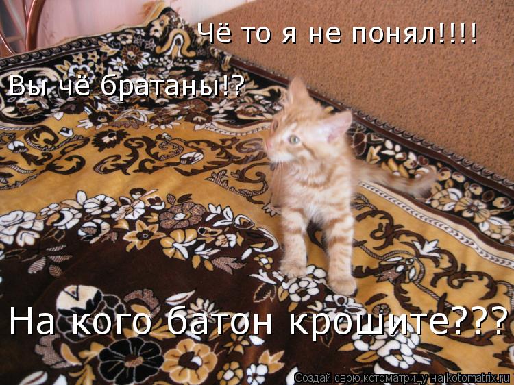 Котоматрица: Вы чё братаны!?  Вы чё братаны!?  Чё то я не понял!!!! На кого батон крошите???