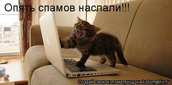 Котоматрица: Опять спамов наслали!!!